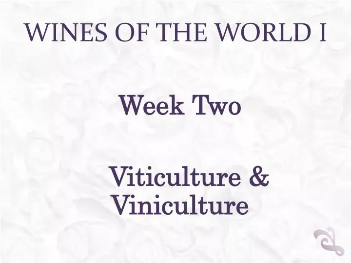 wines of the world i
