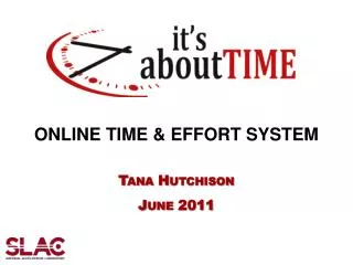ONLINE TIME &amp; EFFORT SYSTEM