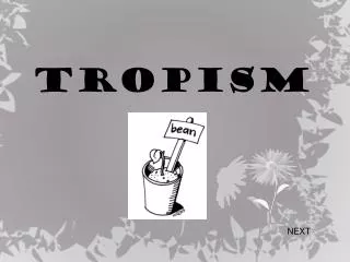 TROPISM