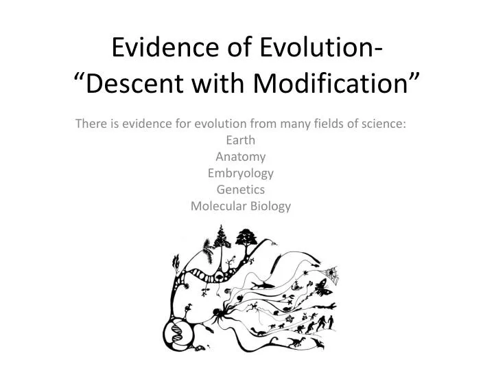 evidence of evolution descent with modification