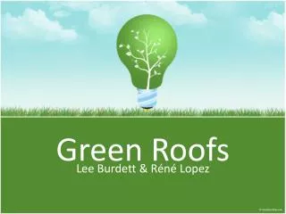 Green Roofs