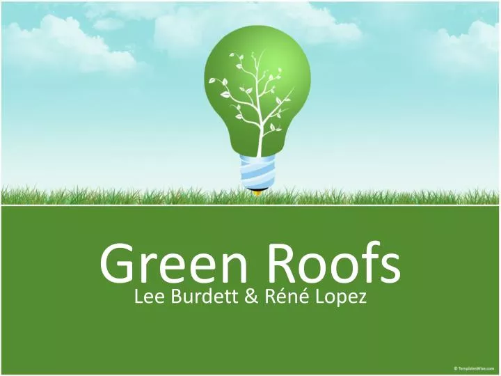 green roofs