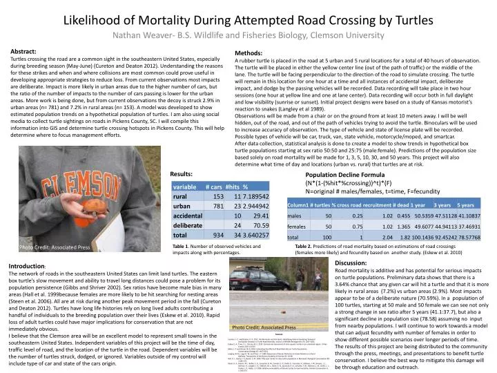 likelihood of mortality during attempted road crossing by turtles