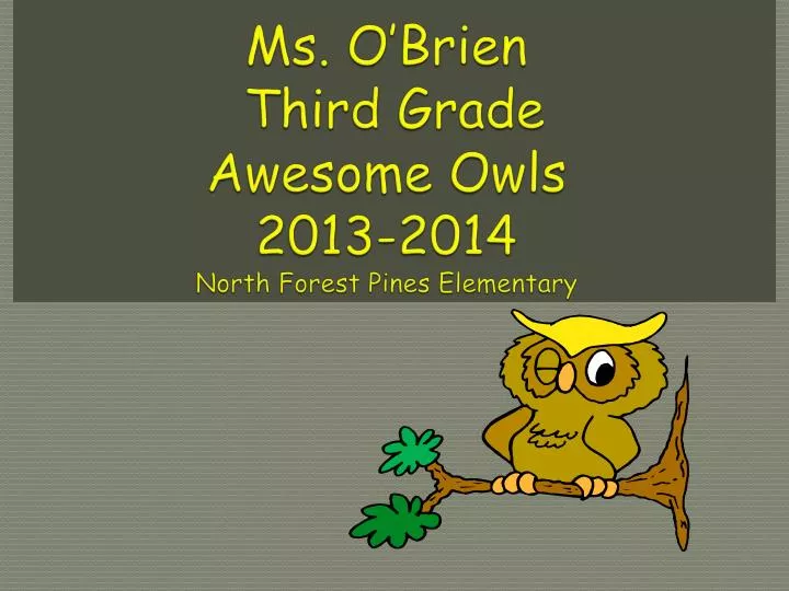 ms o brien third grade awesome owls 2013 2014 north forest pines elementary