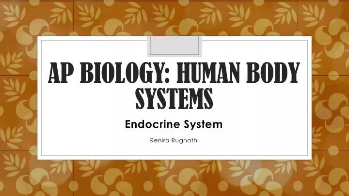 ap biology human body systems