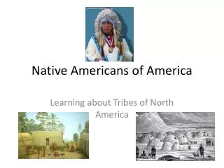 Native Americans of America