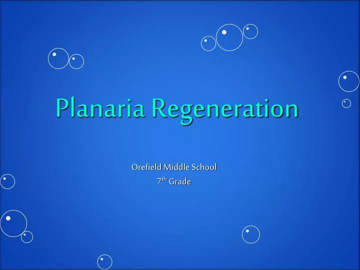 planaria regeneration