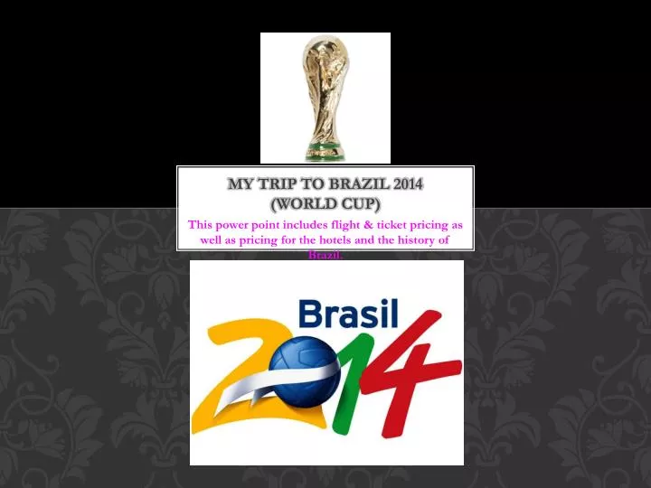 my trip to brazil 2014 world cup