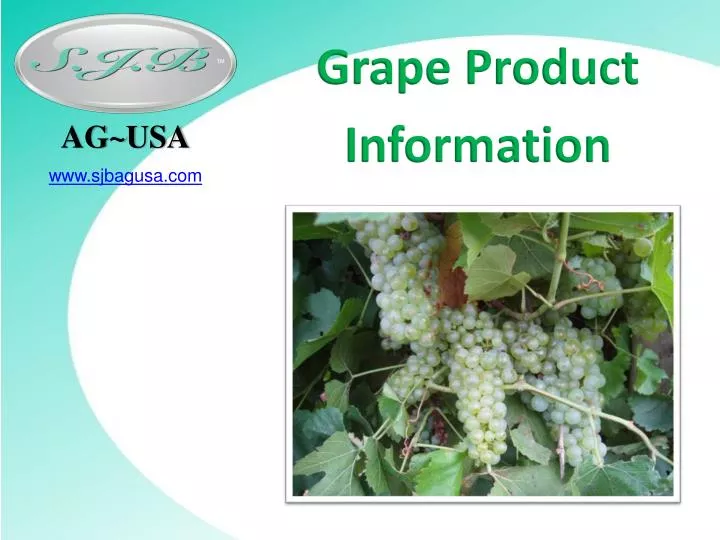 grape product information