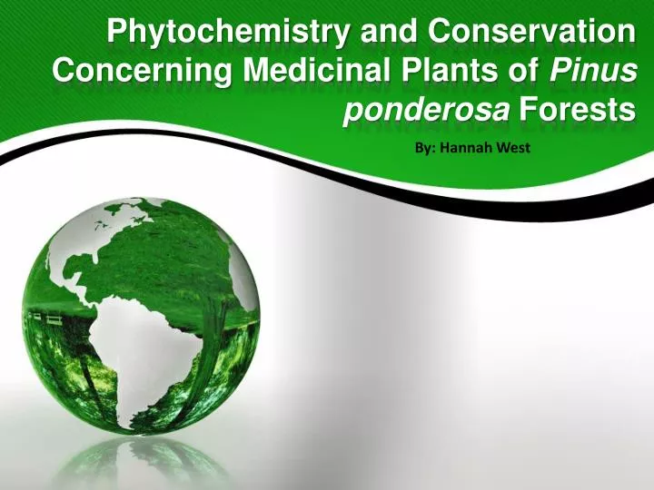 phytochemistry and conservation concerning medicinal plants of pinus ponderosa forests