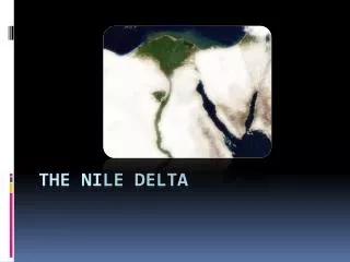 The Nile delta