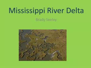 Mississippi River Delta