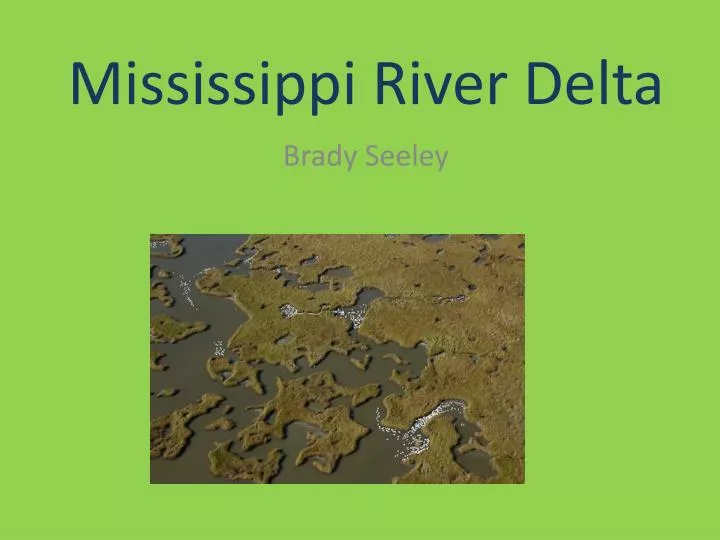 mississippi river delta