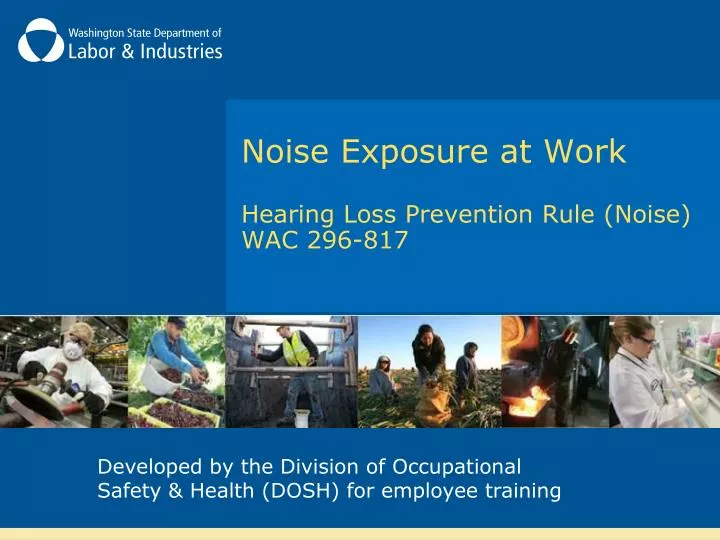 noise exposure at work