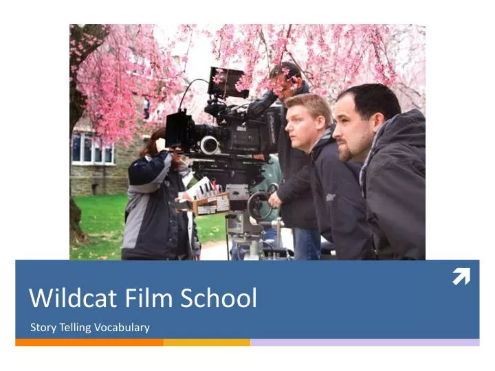 wildcat film school