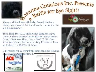 Hosanna Creations Inc. Presents a Raffle for Eye Sight!