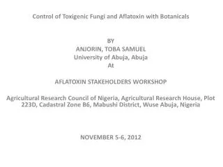 Control of Toxigenic Fungi and Aflatoxin with Botanicals BY ANJORIN, TOBA SAMUEL