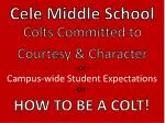 How to Be a Colt: Embracing Safety, Responsibility, and Respect Daily - slide 1