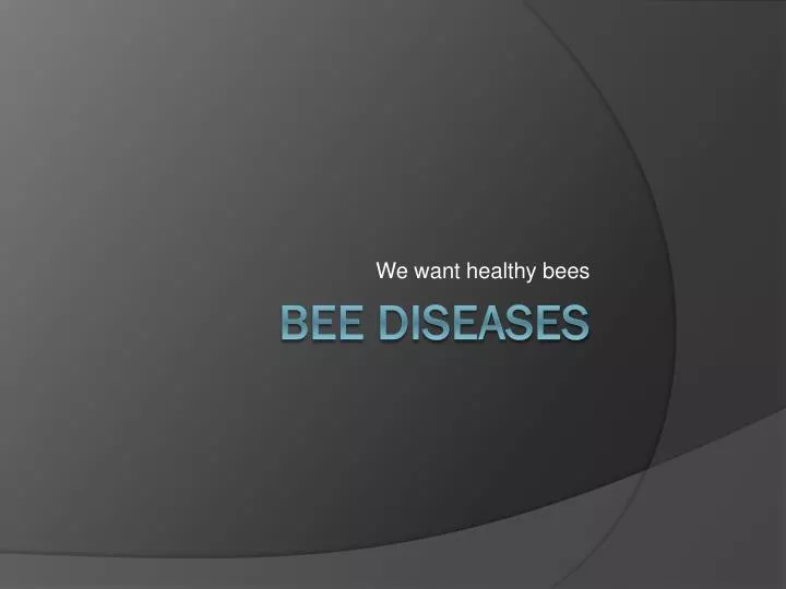 we want healthy bees