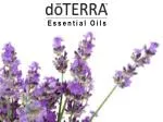 Essential Oils - slide 1