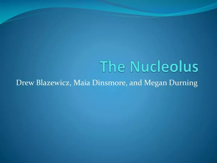 the nucleolus