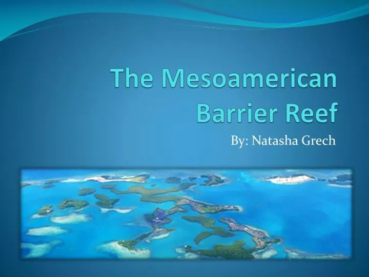 the mesoamerican barrier reef