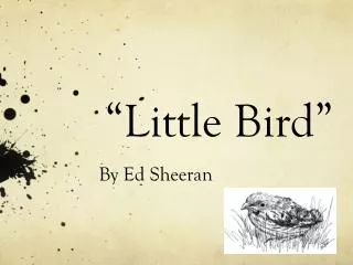“Little Bird”