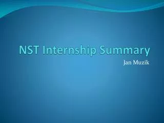 NST Internship Summary