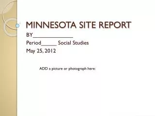 MINNESOTA SITE REPORT