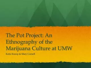 The Pot Project: An Ethnography of the Marijuana Culture at UMW