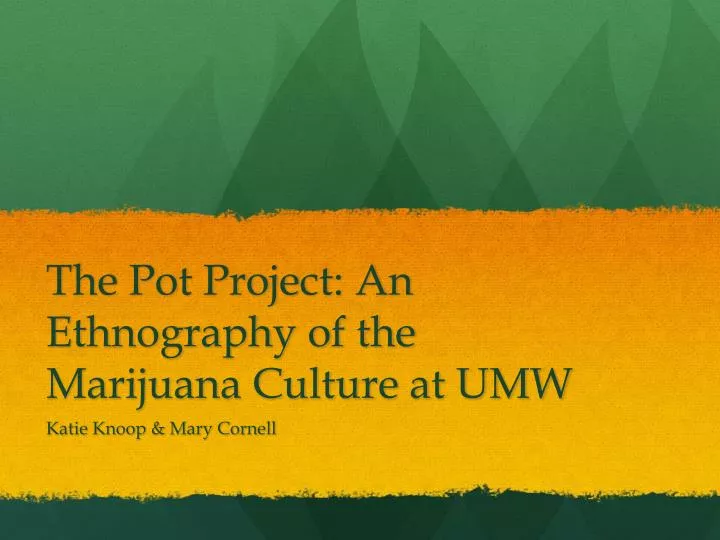 the pot project an ethnography of the marijuana culture at umw