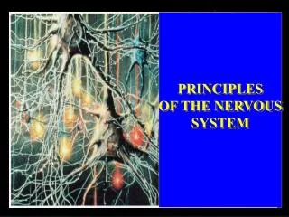 PRINCIPLES OF THE NERVOUS SYSTEM
