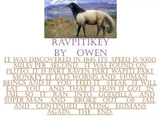 Ravpitikey By Owen