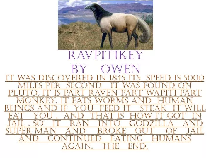 ravpitikey by owen