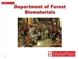 Department of Forest Biomaterials