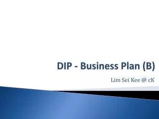 DIP - Business Plan (B)