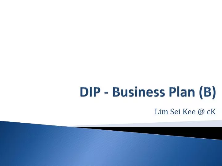 dip business plan b