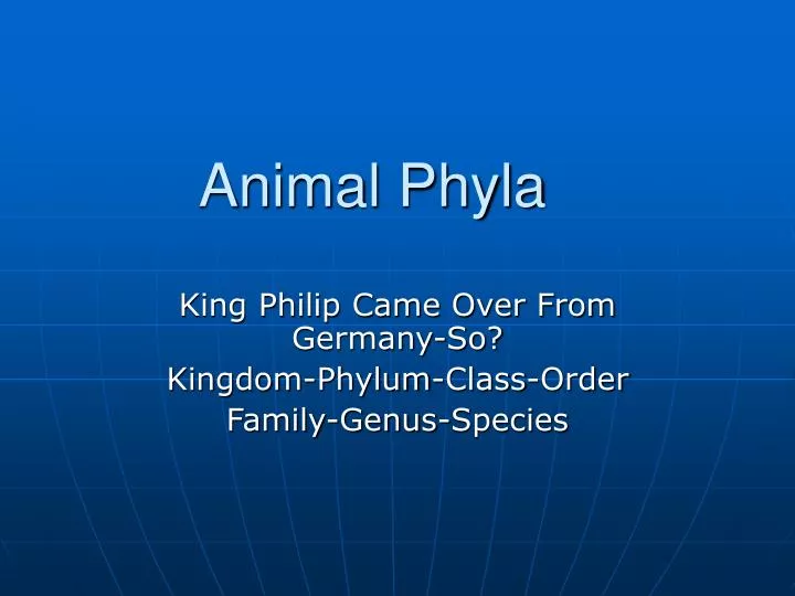 animal phyla