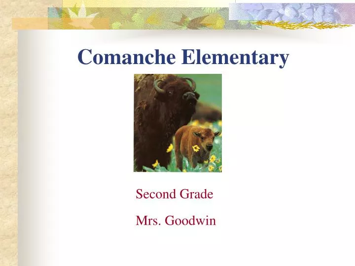 comanche elementary
