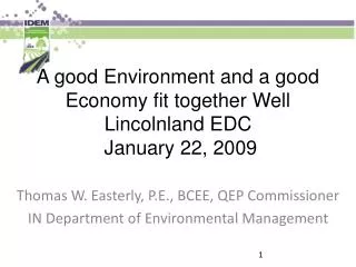 A good Environment and a good Economy fit together Well Lincolnland EDC January 22, 2009