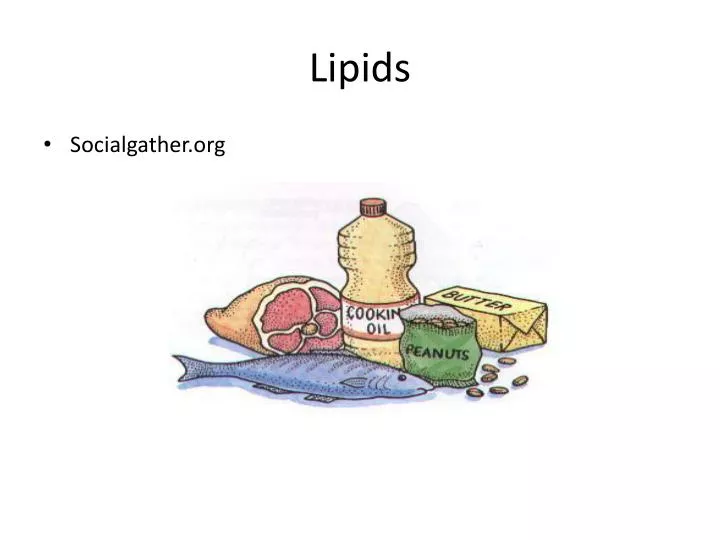 lipid examples