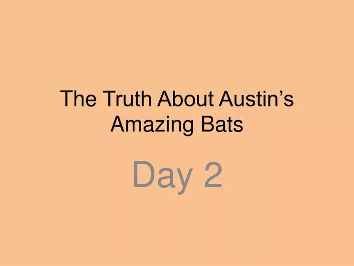 the truth about austin s amazing bats