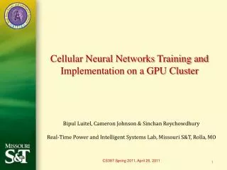 Cellular Neural Networks Training and Implementation on a GPU Cluster