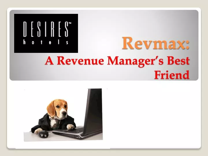 revmax a revenue manager s best friend