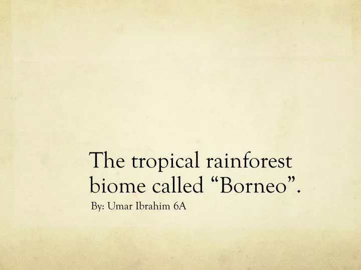the tropical rainforest biome called borneo