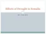 Effects of Drought in Somalia