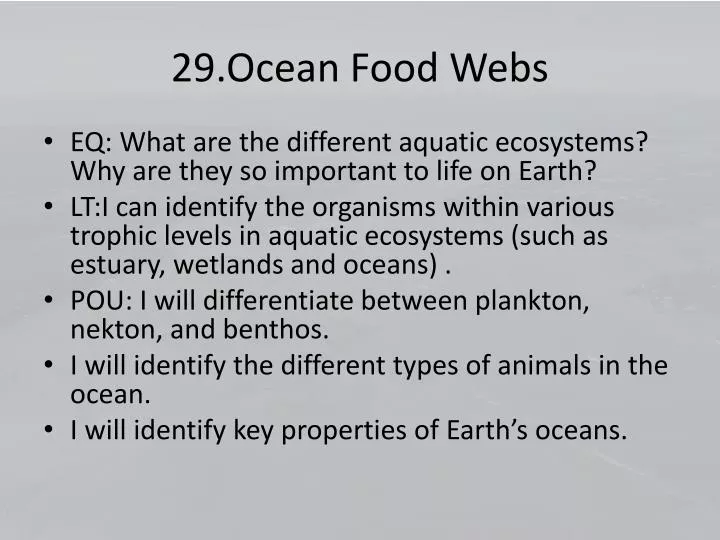 29 ocean food webs