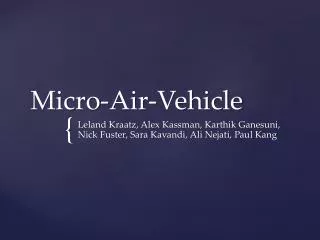 Micro-Air-Vehicle