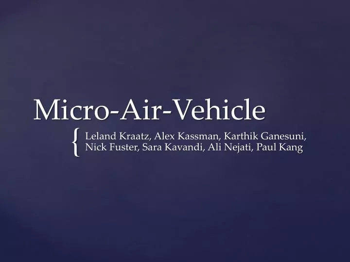 micro air vehicle