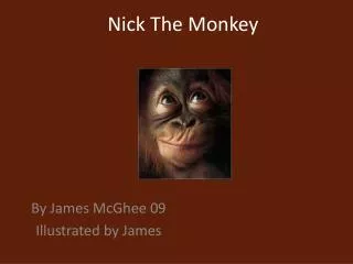 Nick The Monkey